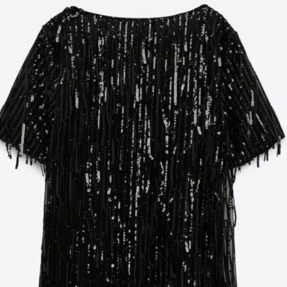 Zara Black Sequin Fringed Mini Dress
Short Sleeve Dress - Picture 9 of 11
